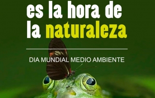 Día Mundial del Medio Ambiente